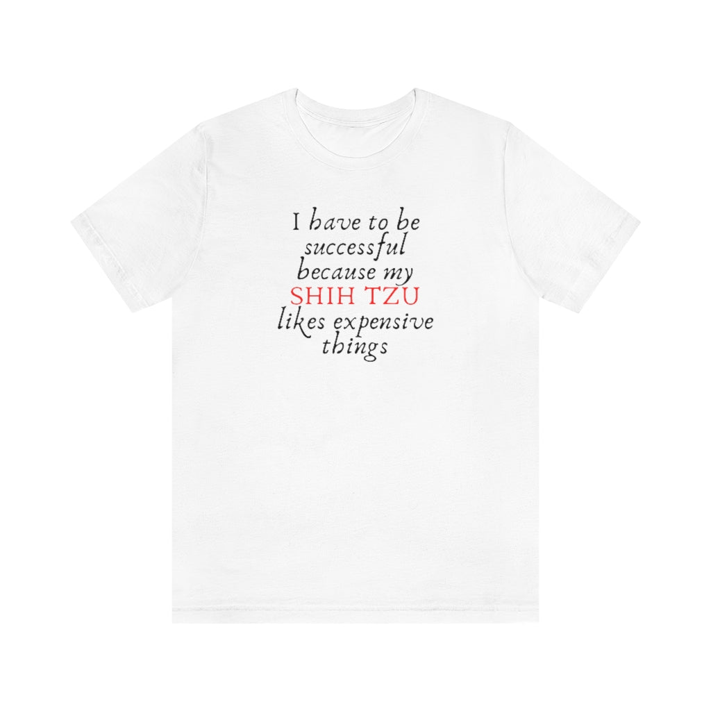 I Have to be Successful Because... | Unisex Relaxed Fit Tee